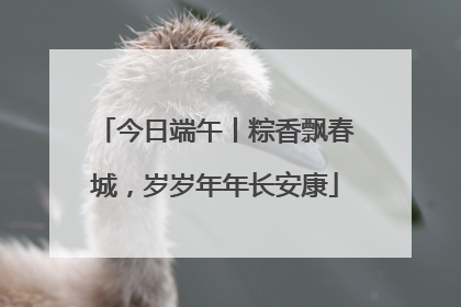 今日端午丨粽香飘春城，岁岁年年长安康