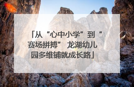 从“心中小学”到“赛场拼搏” 龙湖幼儿园多维铺就成长路