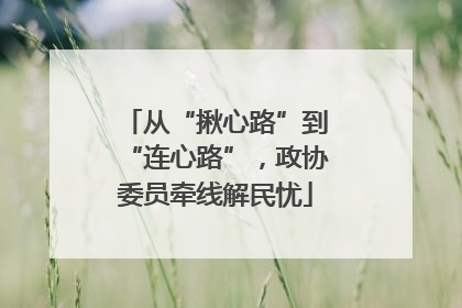 从“揪心路”到“连心路”，政协委员牵线解民忧