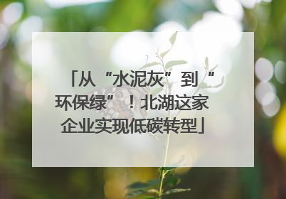 从“水泥灰”到“环保绿”！北湖这家企业实现低碳转型