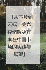 从芯片到云端：美光存储解决方案在中国市场的实践与展望