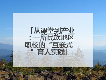从课堂到产业：一所民族地区职校的“互嵌式”育人实践