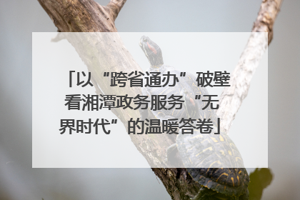 以“跨省通办”破壁 看湘潭政务服务“无界时代”的温暖答卷