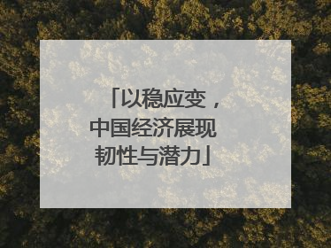 以稳应变，中国经济展现韧性与潜力