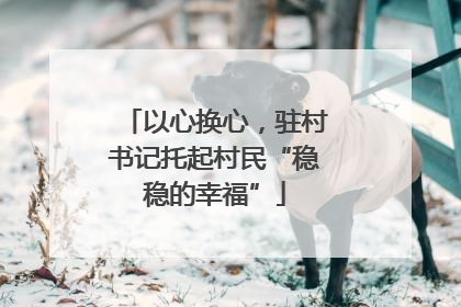 以心换心，驻村书记托起村民“稳稳的幸福”