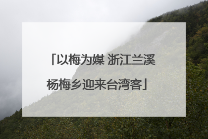 以梅为媒 浙江兰溪杨梅乡迎来台湾客