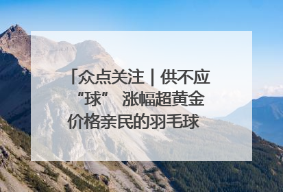 众点关注｜供不应“球” 涨幅超黄金 价格亲民的羽毛球为何身价飞涨？