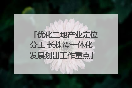 优化三地产业定位分工 长株潭一体化发展划出工作重点