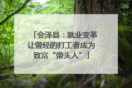 会泽县：就业变革让曾经的打工者成为致富“带头人”