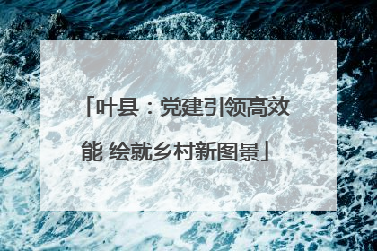 叶县：党建引领高效能 绘就乡村新图景