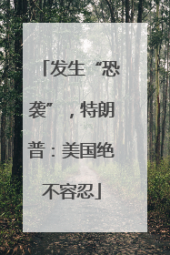 发生“恐袭”，特朗普：美国绝不容忍