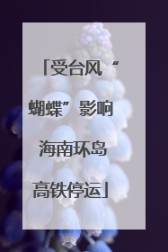 受台风“蝴蝶”影响 海南环岛高铁停运