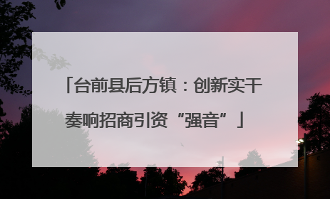 台前县后方镇：创新实干奏响招商引资“强音”