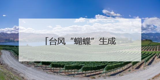 台风“蝴蝶”生成！或登陆广西沿海