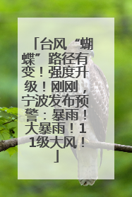 台风“蝴蝶”路径有变！强度升级！刚刚，宁波发布预警：暴雨！大暴雨！11级大风！