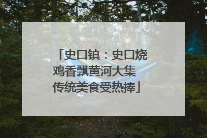 史口镇：史口烧鸡香飘黄河大集 传统美食受热捧