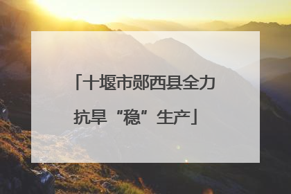 十堰市郧西县全力抗旱“稳”生产