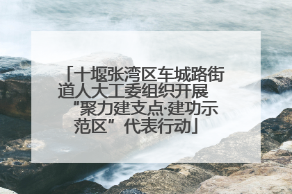十堰张湾区车城路街道人大工委组织开展 “聚力建支点·建功示范区”代表行动