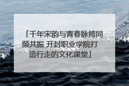 千年宋韵与青春脉搏同频共振 开封职业学院打造行走的文化课堂
