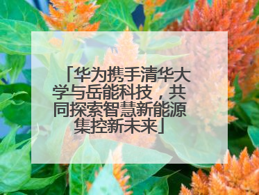 华为携手清华大学与岳能科技，共同探索智慧新能源集控新未来