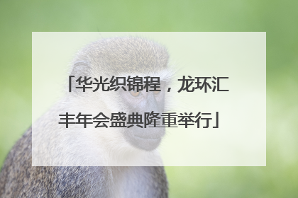 华光织锦程，龙环汇丰年会盛典隆重举行