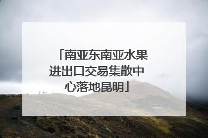 南亚东南亚水果进出口交易集散中心落地昆明