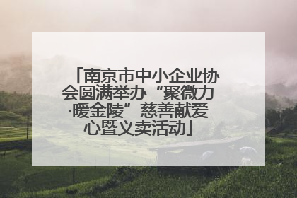 南京市中小企业协会圆满举办“聚微力·暖金陵”慈善献爱心暨义卖活动