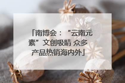 南博会：“云南元素”文创吸睛 众多产品热销海内外