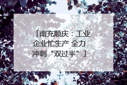 南充顺庆：工业企业忙生产 全力冲刺“双过半”