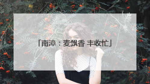 南漳：麦飘香 丰收忙