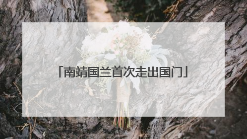 南靖国兰首次走出国门