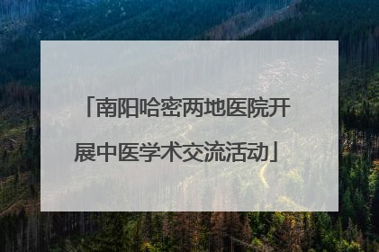 南阳哈密两地医院开展中医学术交流活动