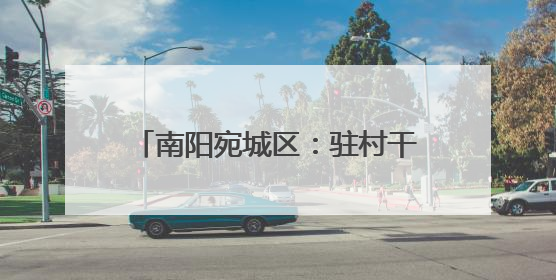 南阳宛城区：驻村干部化身 “三员” 助力生产一线抢收抢种