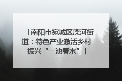 南阳市宛城区溧河街道：特色产业激活乡村振兴“一池春水”