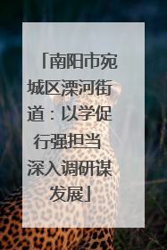 南阳市宛城区溧河街道：以学促行强担当 深入调研谋发展