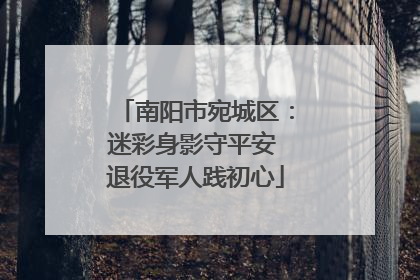 南阳市宛城区：迷彩身影守平安 退役军人践初心