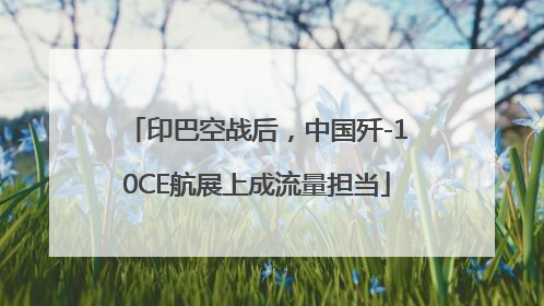 印巴空战后，中国歼-10CE航展上成流量担当