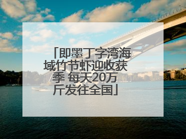 即墨丁字湾海域竹节虾迎收获季 每天20万斤发往全国