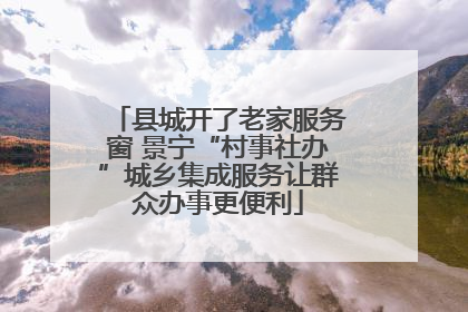 县城开了老家服务窗 景宁“村事社办”城乡集成服务让群众办事更便利