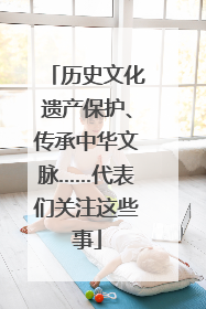 历史文化遗产保护、传承中华文脉……代表们关注这些事