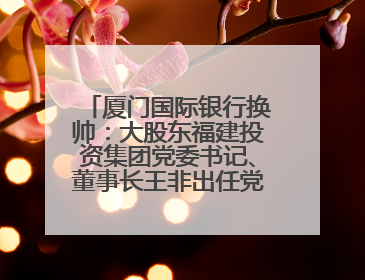 厦门国际银行换帅：大股东福建投资集团党委书记、董事长王非出任党委书记