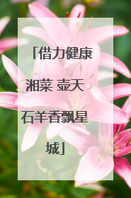 借力健康湘菜 壶天石羊香飘星城