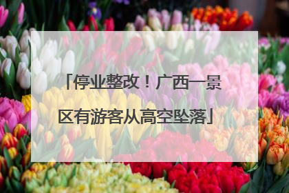 停业整改！广西一景区有游客从高空坠落