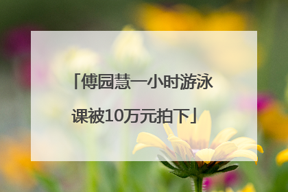 傅园慧一小时游泳课被10万元拍下