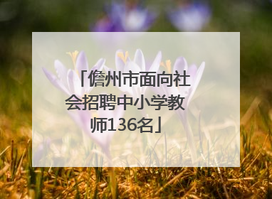 儋州市面向社会招聘中小学教师136名