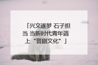 兴文逐梦 石子担当 当新时代青年遇上“晋剧文化”