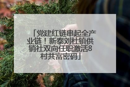 党建红链串起全产业链！新泰刘杜镇供销社双向任职激活8村共富密码