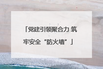 党建引领聚合力 筑牢安全“防火墙”
