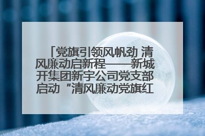 党旗引领风帆劲 清风廉动启新程——新城开集团新宇公司党支部启动“清风廉动党旗红”系列活动
