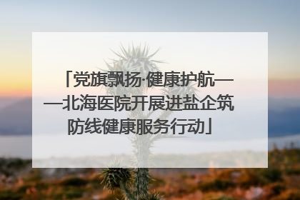 党旗飘扬·健康护航——北海医院开展进盐企筑防线健康服务行动